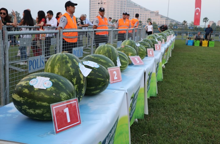 مهرجان البطيخ في تركيا