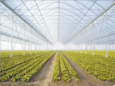  الزراعات المتخصصة