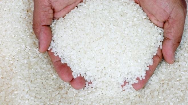 أسعار الأرز تتراجع 2500 جنيهٍ وتصل لمستويات ما قبل الزيادة