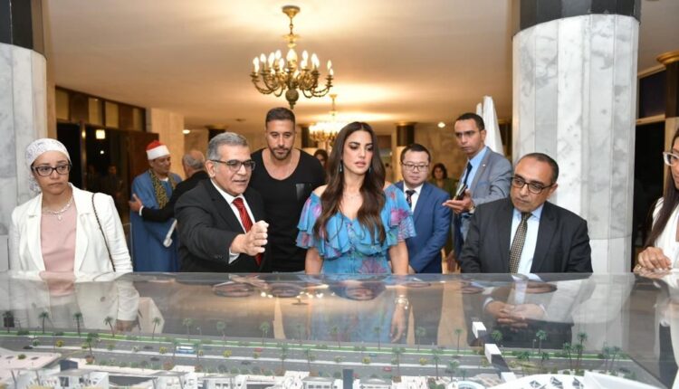 جامعة مصر للعلوم والتكنولوجيا