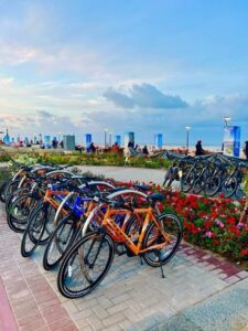 عاصمة الدلتا السياحية وتكلفت 24 مليار جنيه.. جولة بالصور داخل مدينة المنصورة الجديدة