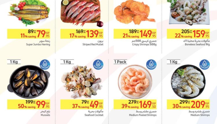 عروض-كارفور-مصر-49