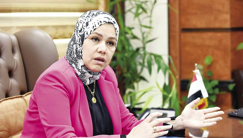 الضرائب تصدر إيصالات إلكترونية للسلع الاستهلاكية نوفمبر المقبل